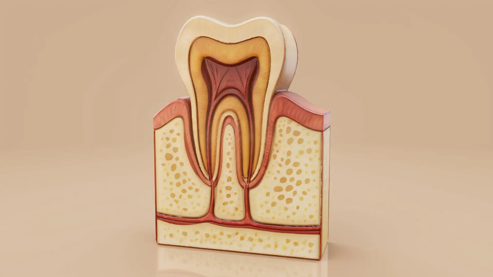 endodontic-treatment-in-istanbul