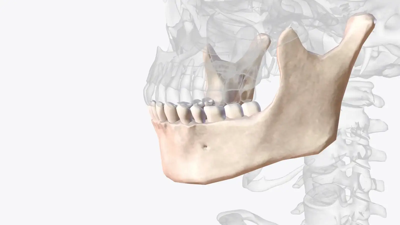 Sinus Lift in Turkey: What You Need to Know